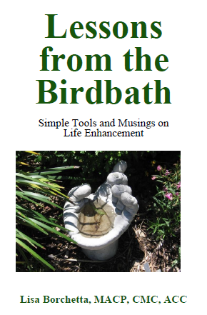 Birdbath cover